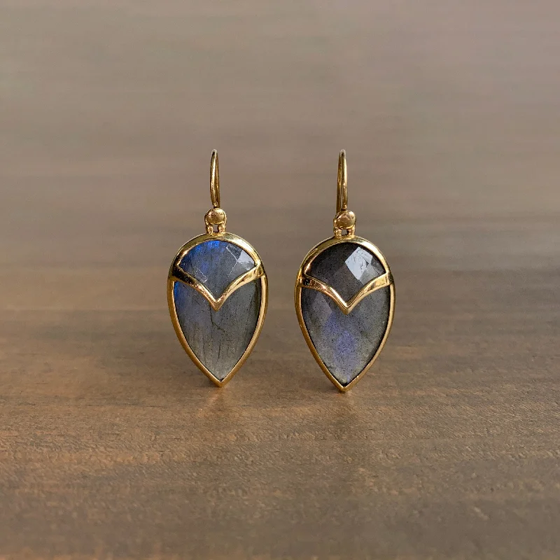 Buy More, Save More On Stunning Jewelry Designs Labradorite Owl Earrings