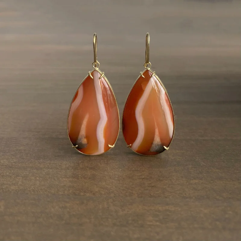Dazzle With Discounts – Shop Jewelry On Sale Banded Figured Carnelian Earrings