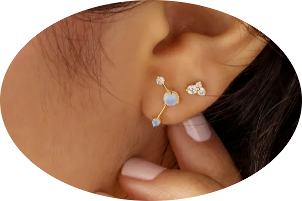 Earrings